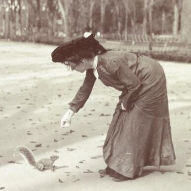 Cover of book "Animating Central Park" by Dawn Day Biehler showing a woman feeding a squirrel