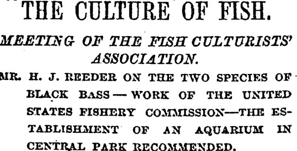 A historic newspaper headline describing a meeting of the fish culturists' association in regards to fish at central park