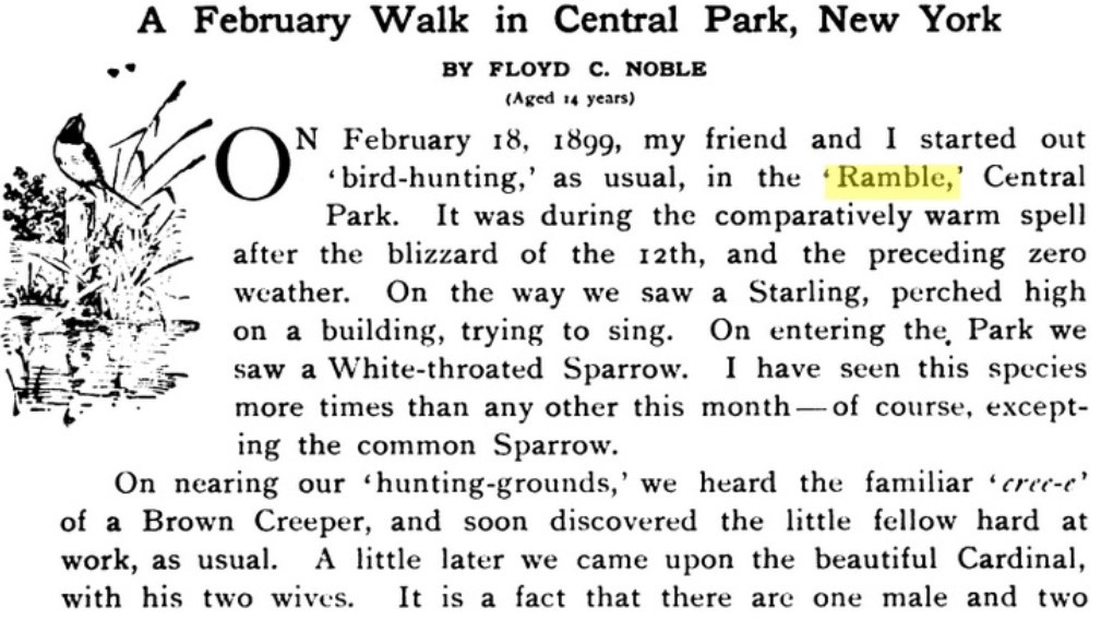 Floyd C. Noble's account of birding in the Central Park Ramble on February 18, 1899.