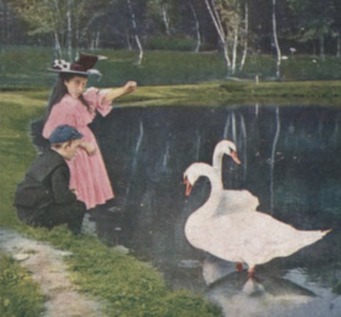 A girl in a pink dress stand on lake shore holding arm out to two white swans. A boy sits on the bank next to here.