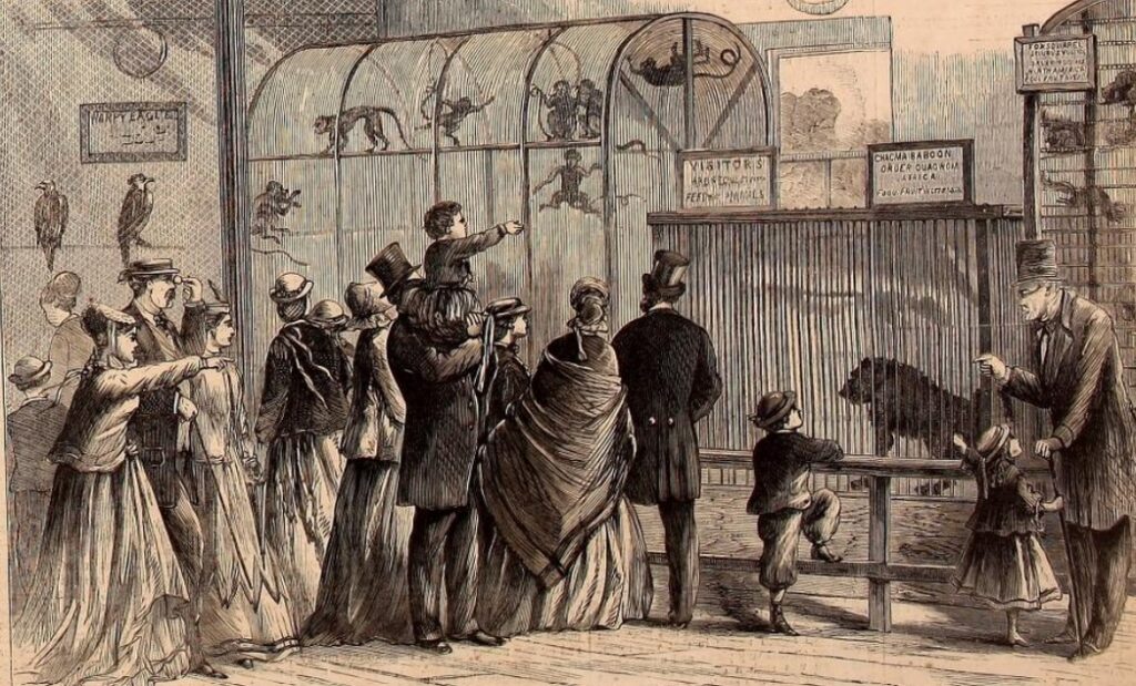 A crowd of visitors observes caged monkeys at the menagerie.