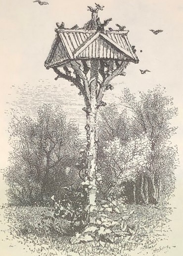 A freestanding bird house in the Ramble with multiple birds perched on and flying around it.