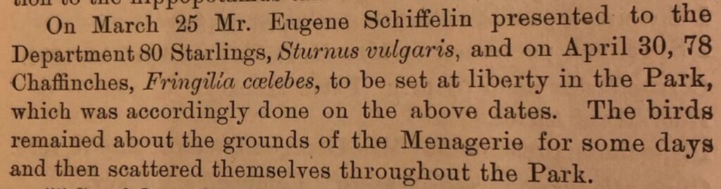 Excerpt from the 1890 menagerie report describing the release of 80 starlings and 78 chaffinches into Central Park in the spring.